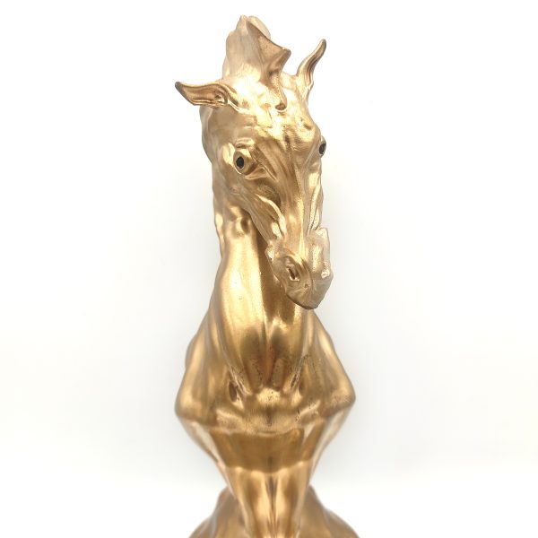 Crazy Horse n°1 - Molten Gold - Image 2