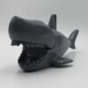 Shark - Image 2