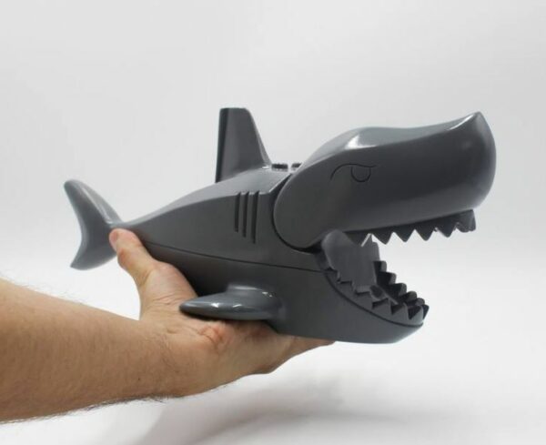 Shark - Image 5