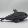 Shark - Image 6